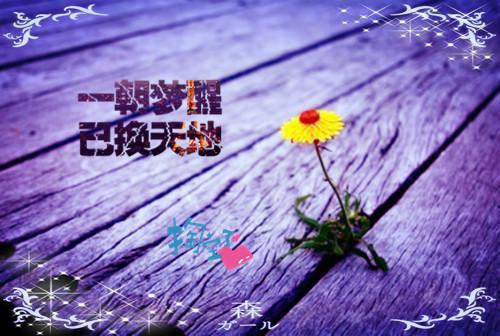 韩语伤感爱情名言名句