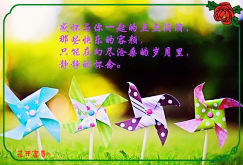 八十岁生日贺词简单