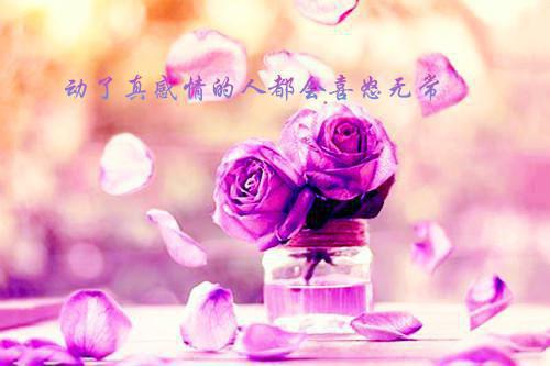 有关幼儿园老师的优秀寄语（精选17篇）