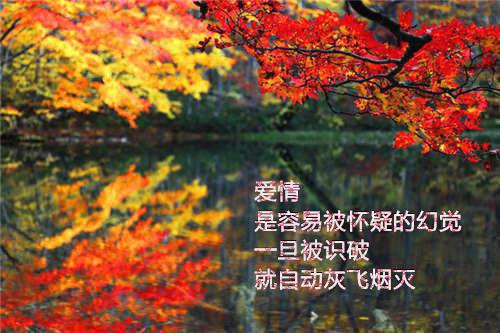 小学上学期差生评语（精选7篇）