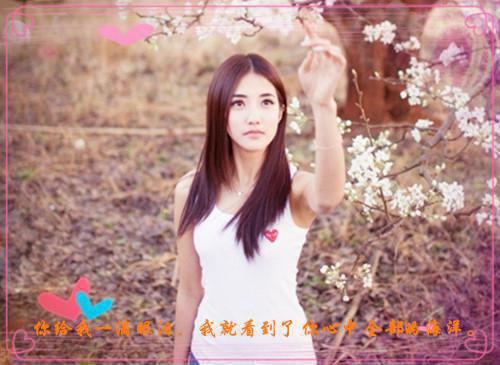 把爱永远封存：结局+番外（宁轩沈沐漓）完结阅读无弹窗大结局_把爱永远封存：结局+番外免费阅读最新章节列表_笔趣阁（宁轩沈沐漓）