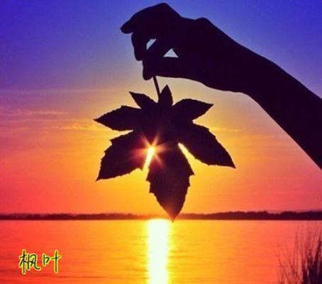 姜流萤的小说_记忆曝光后欺负过她的人都哭了姜流萤小说阅读