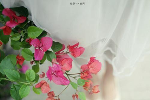 老师给孩子的期末评语（精选13篇）