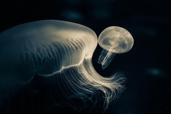 最新摘录人生感悟经典名言