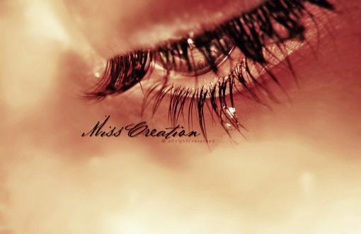 晨光破雾是清欢 沈清欢黎修远完结版全章节阅读