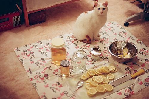 五年级期末差生操行评语（精选32篇）