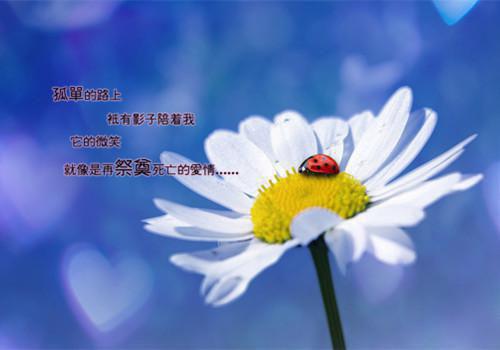 对同学简单的祝贺词