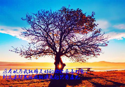 日落前道别：结局+番外（祝清萤沈斯越万阅：结局+番外）完结阅读无弹窗大结局_（祝清萤沈斯越万阅）最新章节列表_笔趣阁（日落前道别：结局+番外）
