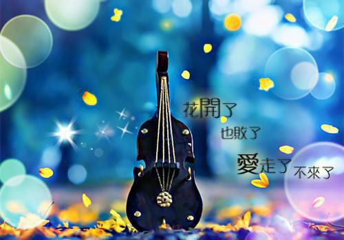 简短的情侣签名一左一右 给你倾城的温柔恋我半世的流离