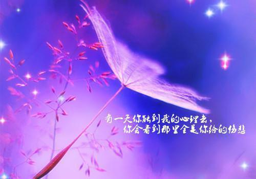 雪落再说爱你：结局+番外（雪落再说爱你宋南夕周京泽江雪宁：结局+番外）完结阅读无弹窗大结局_(宋南夕周京泽江雪宁)最新章节列表_笔趣阁（雪落再说爱你：结局+番外）