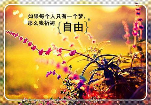 有创意的小学生评语（精选23篇）