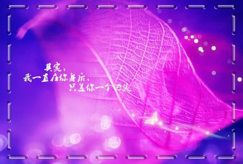 有关抒情散文随笔500字