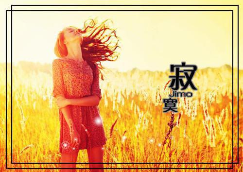 墨芊顾白野在线顾白野小说全文免费阅读