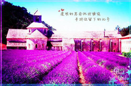 小说温软玫瑰沦为他心尖偏宠免费主角为温瑶免费阅读