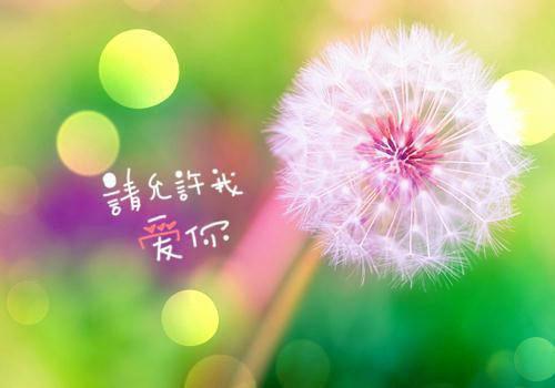 人生感悟短篇文章4篇