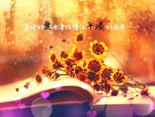 一“料”成名神秘小说家小说全文免费阅读