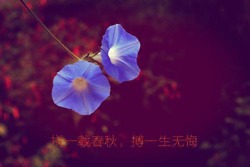 高二下学期的操行品德评语