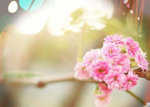 穆嘉楠夏祁风：结局+番外（穆嘉楠夏祁风）全文免费阅读无弹窗大结局_穆嘉楠夏祁风：结局+番外全文免费阅读_笔趣阁（穆嘉楠夏祁风）