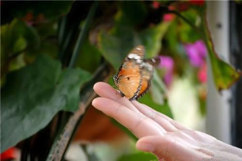 从今往后,她和他两不相欠贺屿臣完本在线小说免费阅读