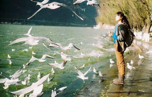 我来陪你许霖：结局+番外（我来陪你许霖：结局+番外）全文免费阅读无弹窗大结局_我来陪你许霖：结局+番外（许霖贺青阳）最新章节列表_笔趣阁（许霖贺青阳）