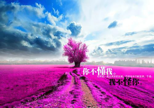 最伤感的个性签名 爱情出现在忽冷忽热的挣扎