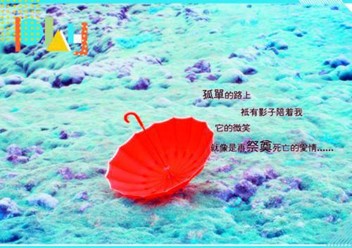 经典社会哲理的句子