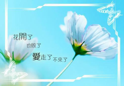 写心情优美句子