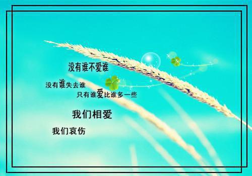 古诗爱情名言诗词
