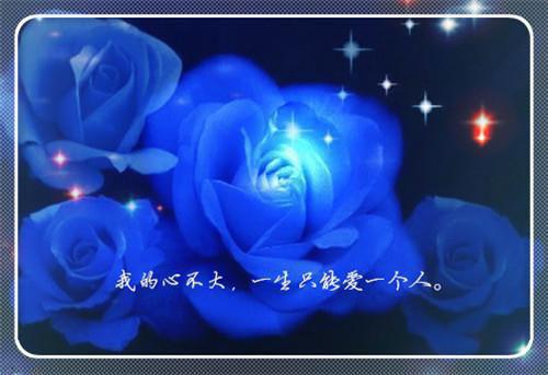 听雨寻梦全文免费阅读（傅屿沈懿小说）全文在线阅读无弹窗大结局_（傅屿沈懿全文在线阅读无弹窗）傅屿沈懿小说最新章节列表_笔趣阁（听雨寻梦）