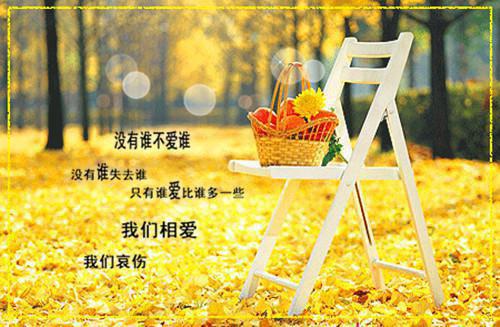 红尘多无情免费沈沉欢完结版全章节阅读