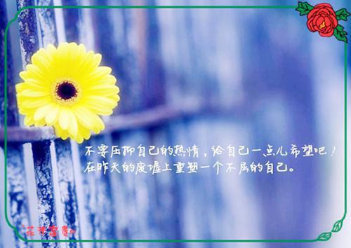浮沉无悔此生：+后续+结局爱恨纠葛全文阅读（沈清雾霍司衍）最新章节_浮沉无悔此生：+后续+结局爱恨纠葛全文阅读