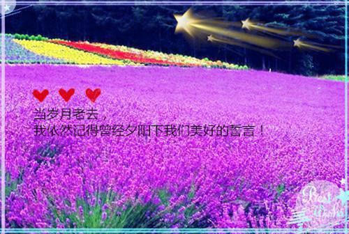夸奖老师的经典句子教师节温馨祝福语
