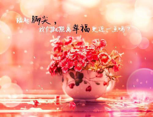 (番外)+(结局)沈听晚厉靳言（爱已落幕：结局+番外）全文免费阅读无弹窗大结局_(沈听晚厉靳言)最新章节列表_笔趣阁（爱已落幕：结局+番外）