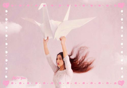 向晚昭禾沉在线昭禾完结版全章节阅读