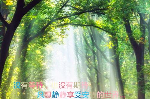 2025好听的伤感励志歌曲