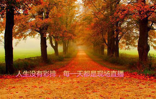 我真的陪他淋过大雨：结局+番外（姜青黎靳寒夜）全文在线阅读无弹窗大结局_（我真的陪他淋过大雨：结局+番外姜青黎靳寒夜）我真的陪他淋过大雨：结局+番外最新章节列表_笔趣阁（姜青黎靳寒夜）