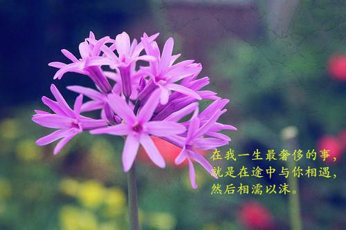 (雪落再说爱你：结局+番外+全文)人气书荒推荐必读（宋南夕周京泽万阅）全文免费阅读无弹窗大结局_(雪落再说爱你：结局+番外+全文)最新章节列表_笔趣阁（宋南夕周京泽万阅）