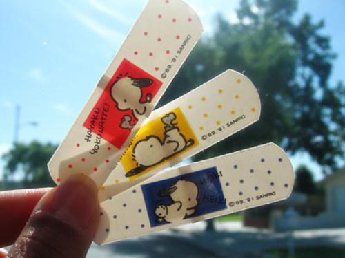 许卿卿裴衍之许卿卿完结版全章节阅读