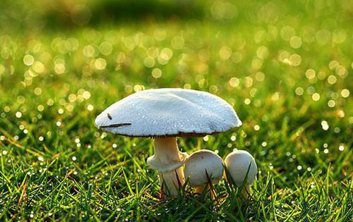 (番外)+(结局)沈黛樱谢司珩(她像倦鸟失了归期:全文+结局+番外)完结阅读无弹窗大结局_(沈黛樱谢司珩)最新章节列表_笔趣阁(她像倦鸟失了归期:全文+结局+番外)