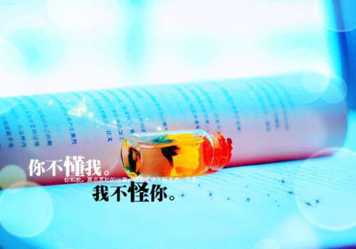 写给你的生日祝福诗歌