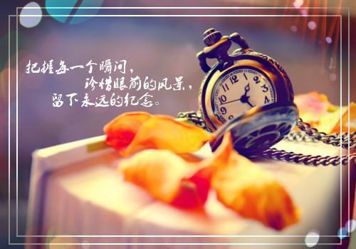 完结版小说萧莫寒穆枝枝免费第24章阅读