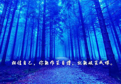 表达心情的句子