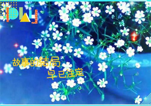 天空属于天空自己