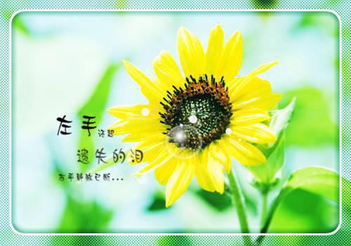 小故事大道理职场励志故事