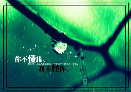 完结版小说班费账本第2章阅读