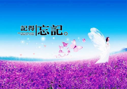 关于星星的散文诗歌精选