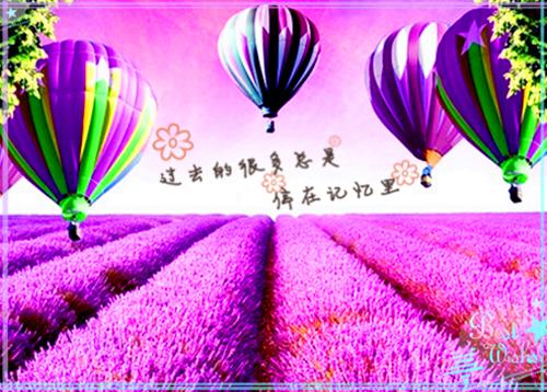 qq英文个性签名带翻译伤感 I love the way you laugh