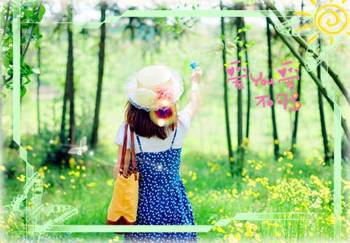 毕业设计论文评语