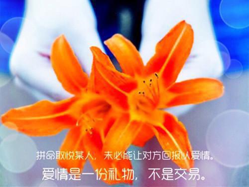 经典理性散文三篇