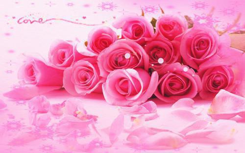 当年明月难寻:全文+后续+结局(江曜迟浅)最新章节列表_当年明月难寻(江曜迟浅)当年明月难寻:全文+后续+结局在线阅读